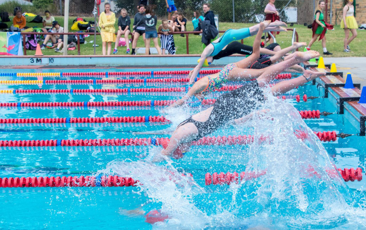 LSC swimming_sports_2019